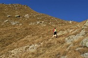 83 Risaliamo a vista per scorciatoia a raggiungere il sentierino per la Cima delle Orobie